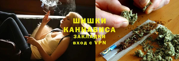 сатива Алексеевка