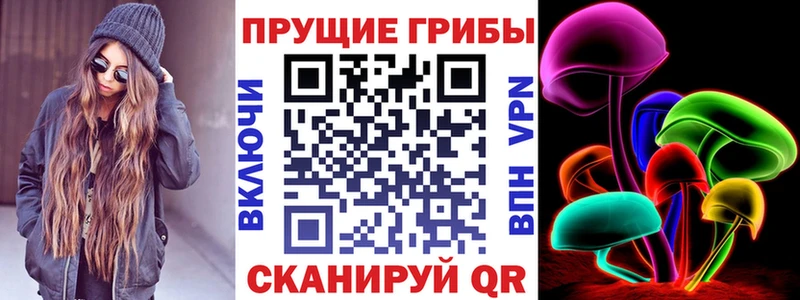 ссылка на мегу маркетплейс Конаково Псилоцибиновые грибы мицелий где купить наркотик